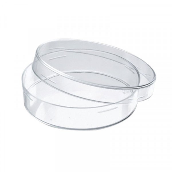 Capsula de Petri Vidrio