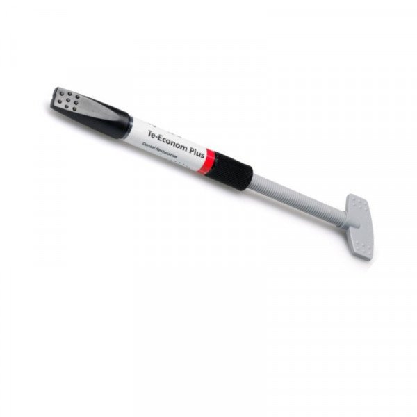 TE ECONO PLUS COMPOSITE JERINGA X 4 GRS