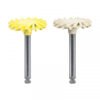 Jiffy Natural Kit Plastico